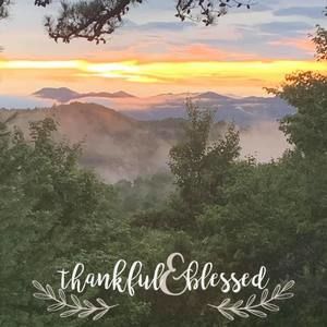 Meet your Posher, Joan